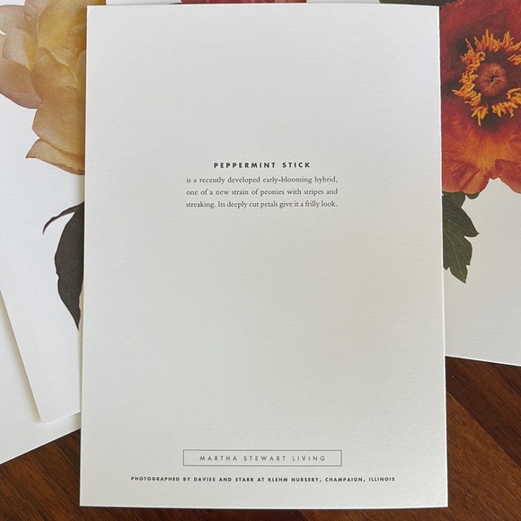 RARE MARTHA STEWART LIVING SET OF 14 PEONY CARDS AND ENVELOPES - BEAUTIFUL! - Picture 2 of 12